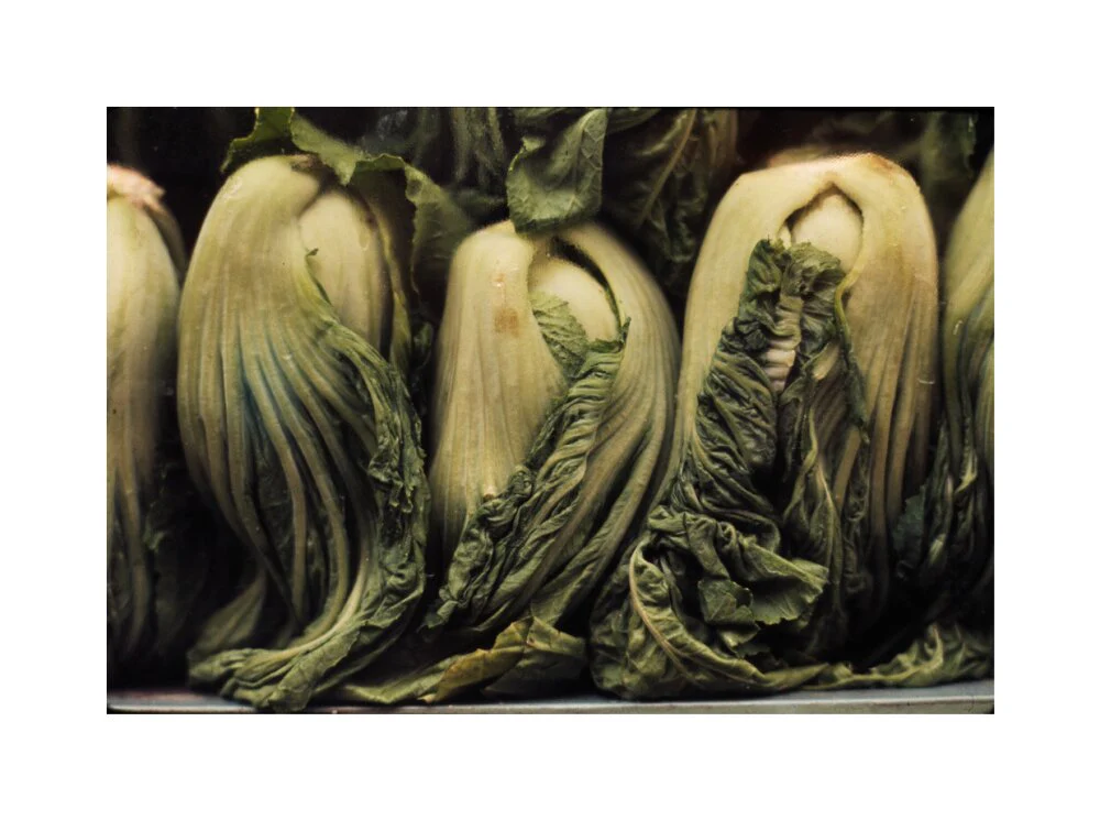 Still life of vegetables - Image 61