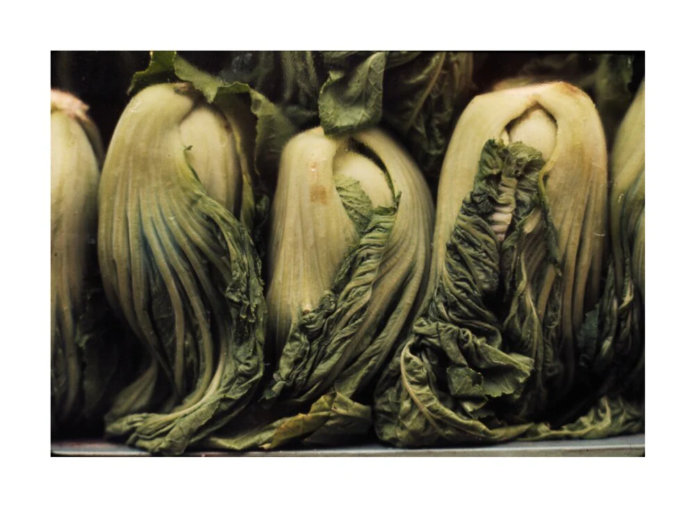 Still life of vegetables - Image 62