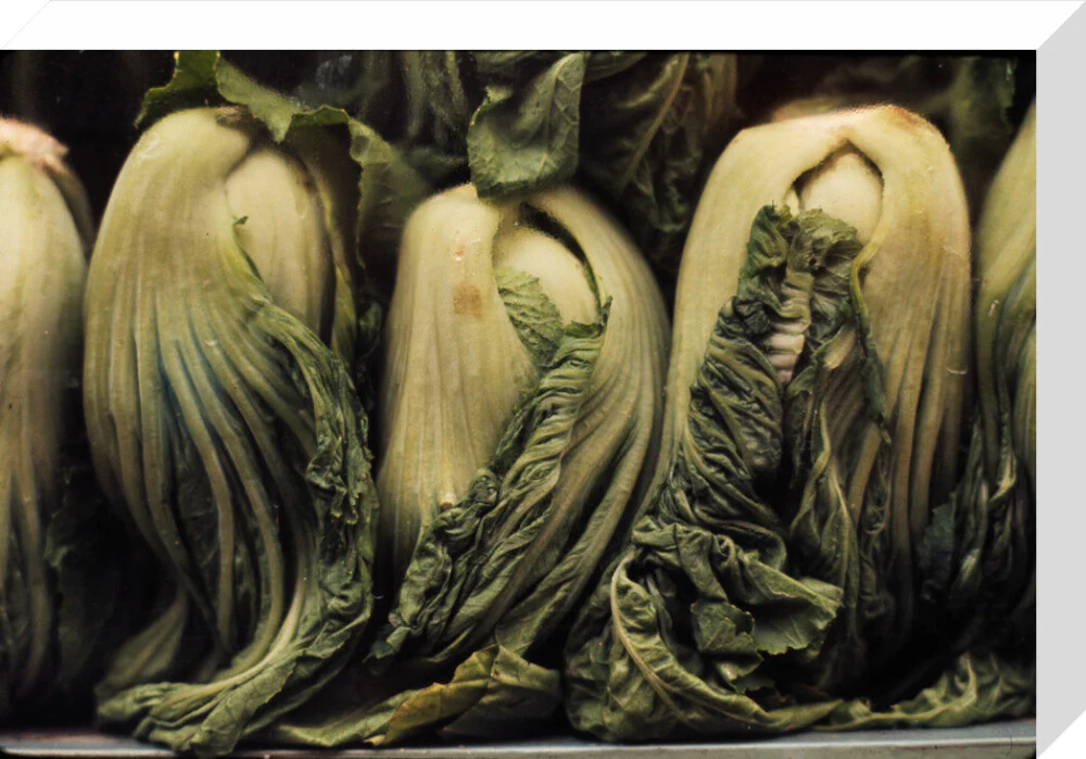 Still life of vegetables - Image 65