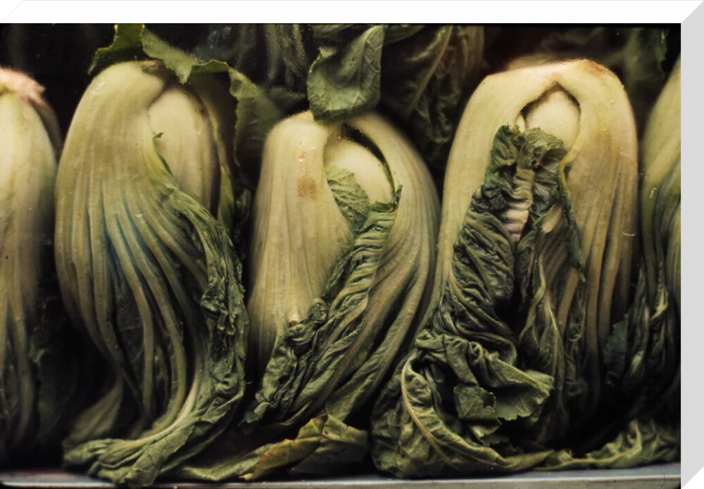 Still life of vegetables - Image 66
