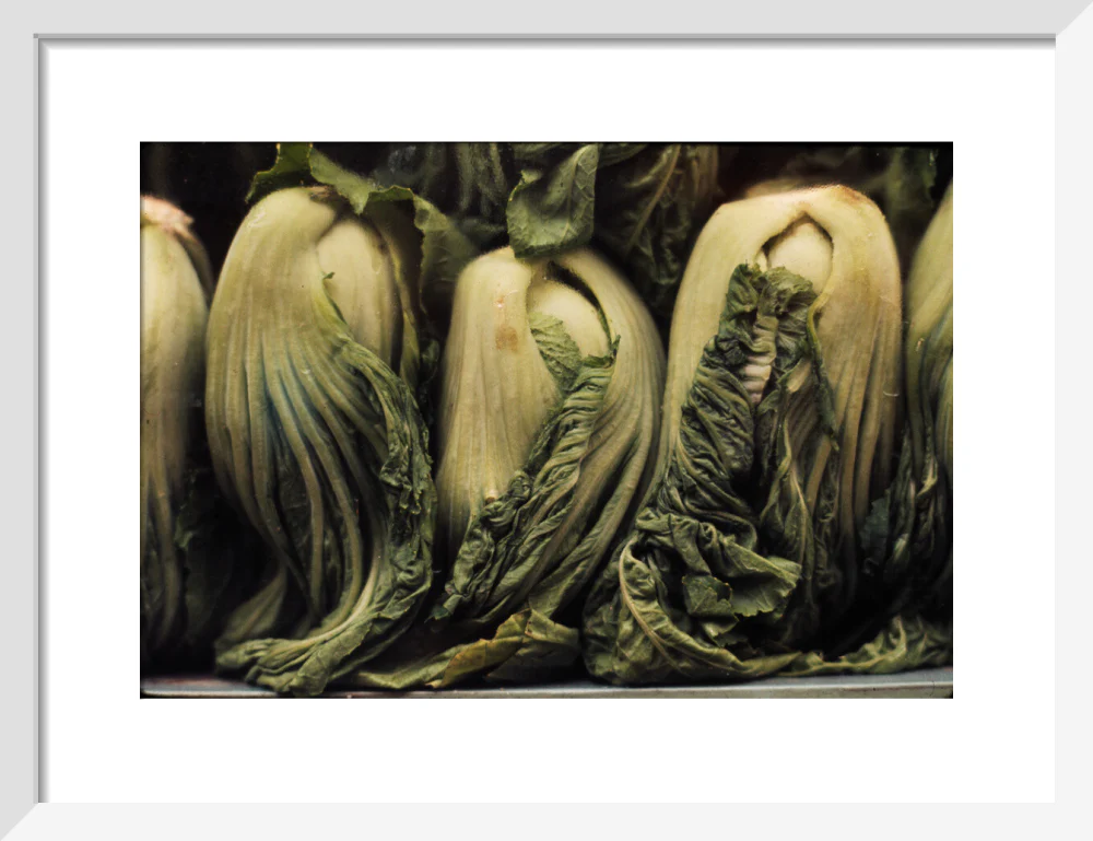 Still life of vegetables - Image 9