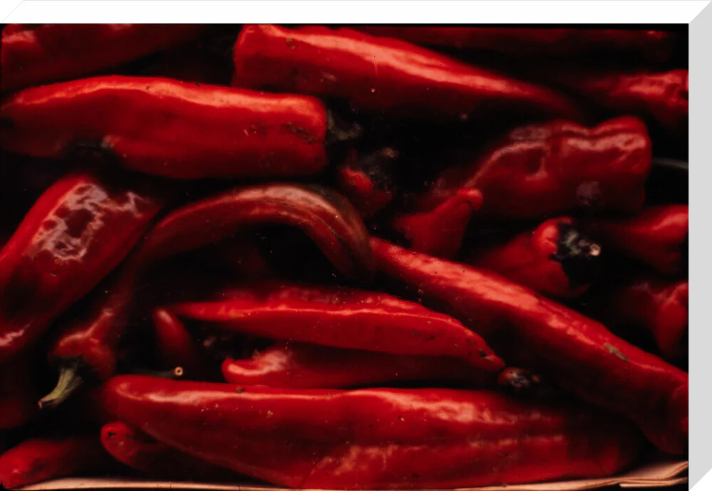 Still life of red peppers - Image 66