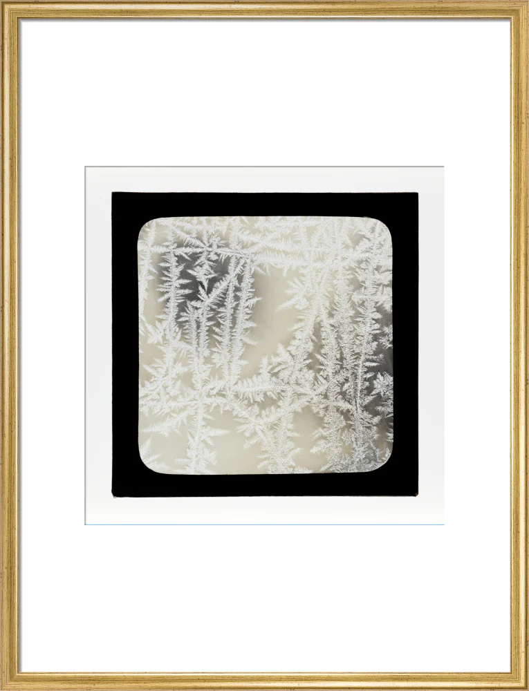 A magic lantern slide of ice by Birt Acres, c. 1893. - Image 20