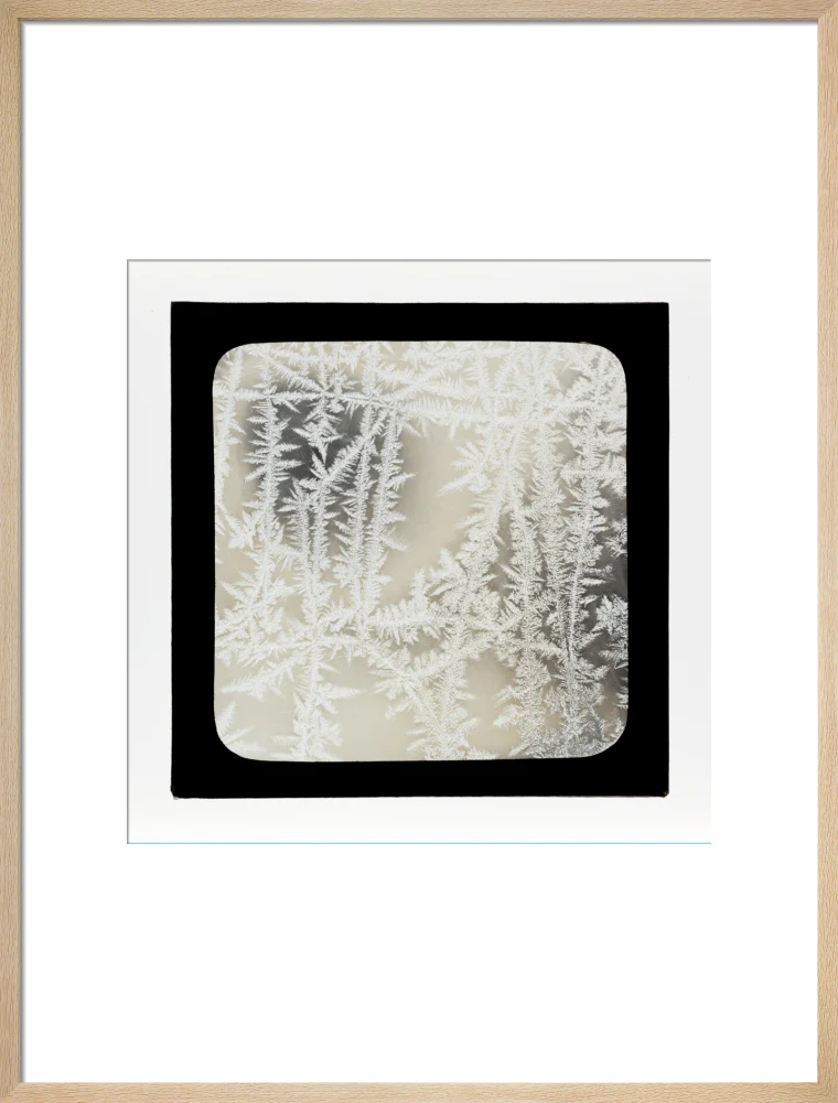 A magic lantern slide of ice by Birt Acres, c. 1893. - Image 21