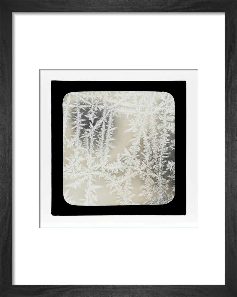 A magic lantern slide of ice by Birt Acres, c. 1893. - Image 3