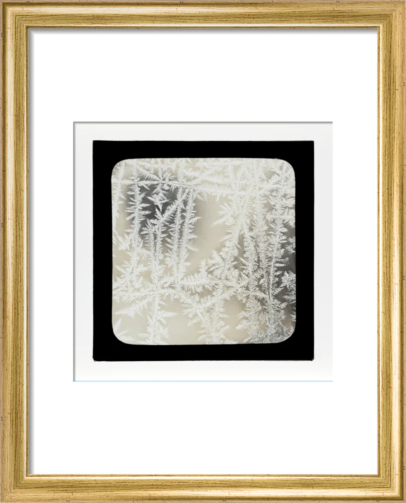A magic lantern slide of ice by Birt Acres, c. 1893. - Image 38
