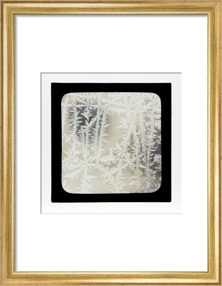 A magic lantern slide of ice by Birt Acres, c. 1893. - Image 43