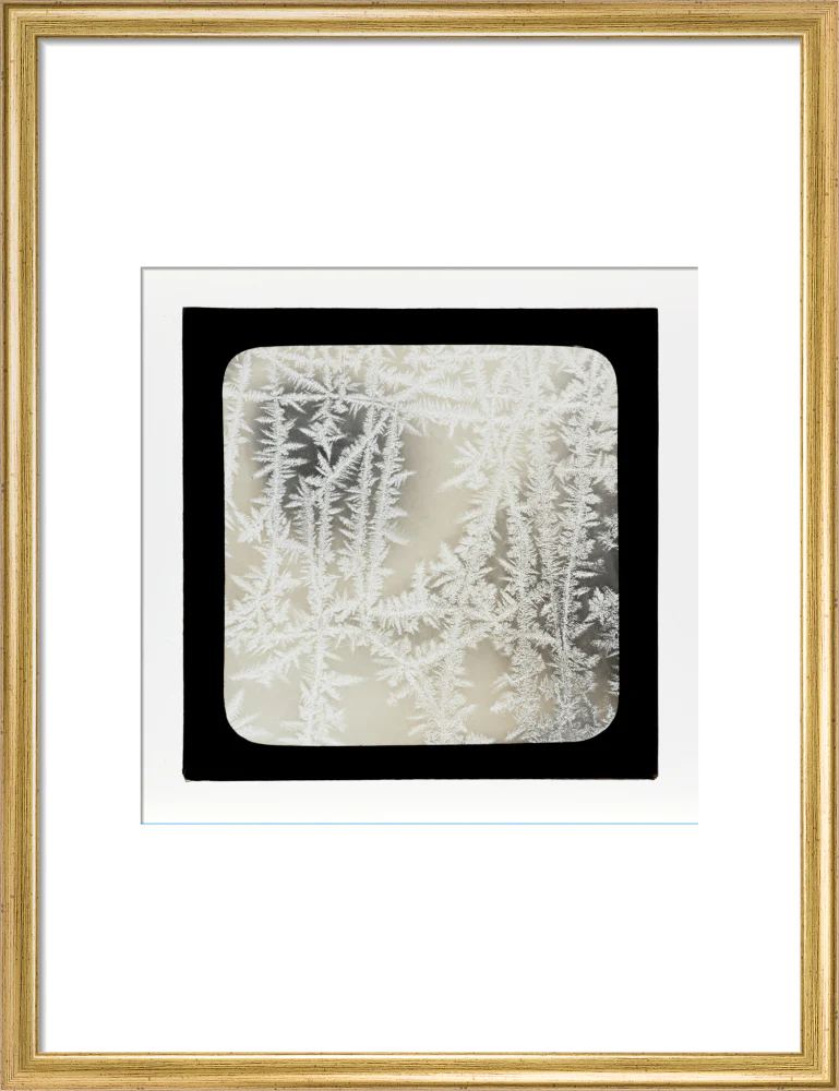 A magic lantern slide of ice by Birt Acres, c. 1893. - Image 48
