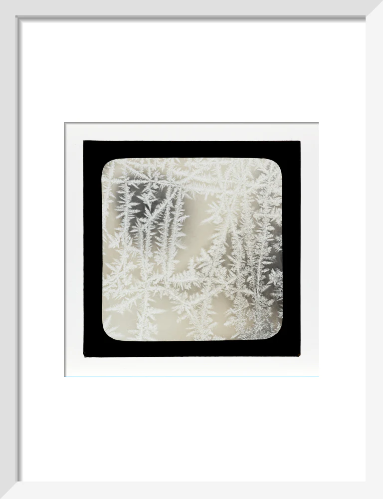 A magic lantern slide of ice by Birt Acres, c. 1893. - Image 9