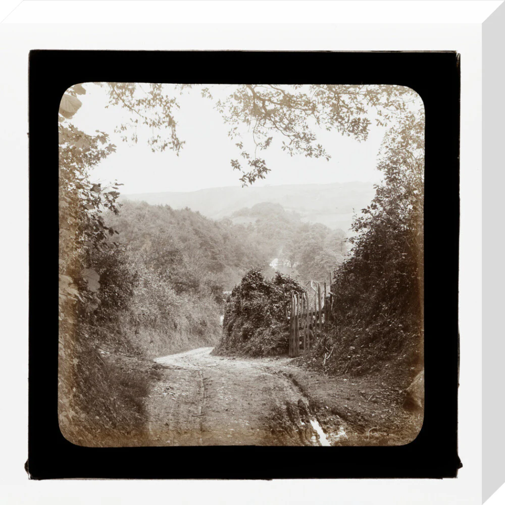 A magic lantern slide entilted 'Chambercombe Wood', by Birt Acres, c. 1893. Black carbon for projection. - Image 32