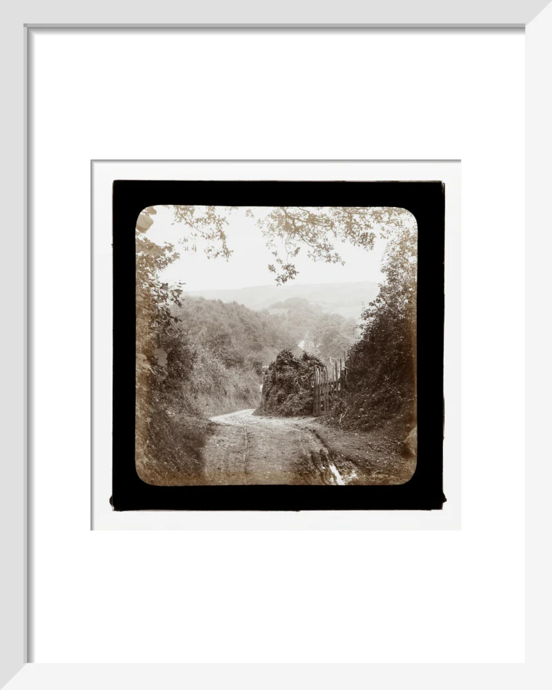 A magic lantern slide entilted 'Chambercombe Wood', by Birt Acres, c. 1893. Black carbon for projection. - Image 4