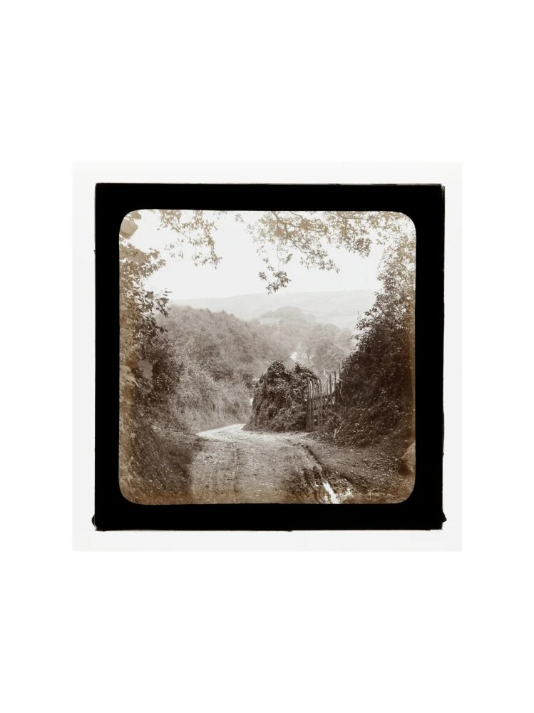 A magic lantern slide entilted 'Chambercombe Wood', by Birt Acres, c. 1893. Black carbon for projection. - Image 50