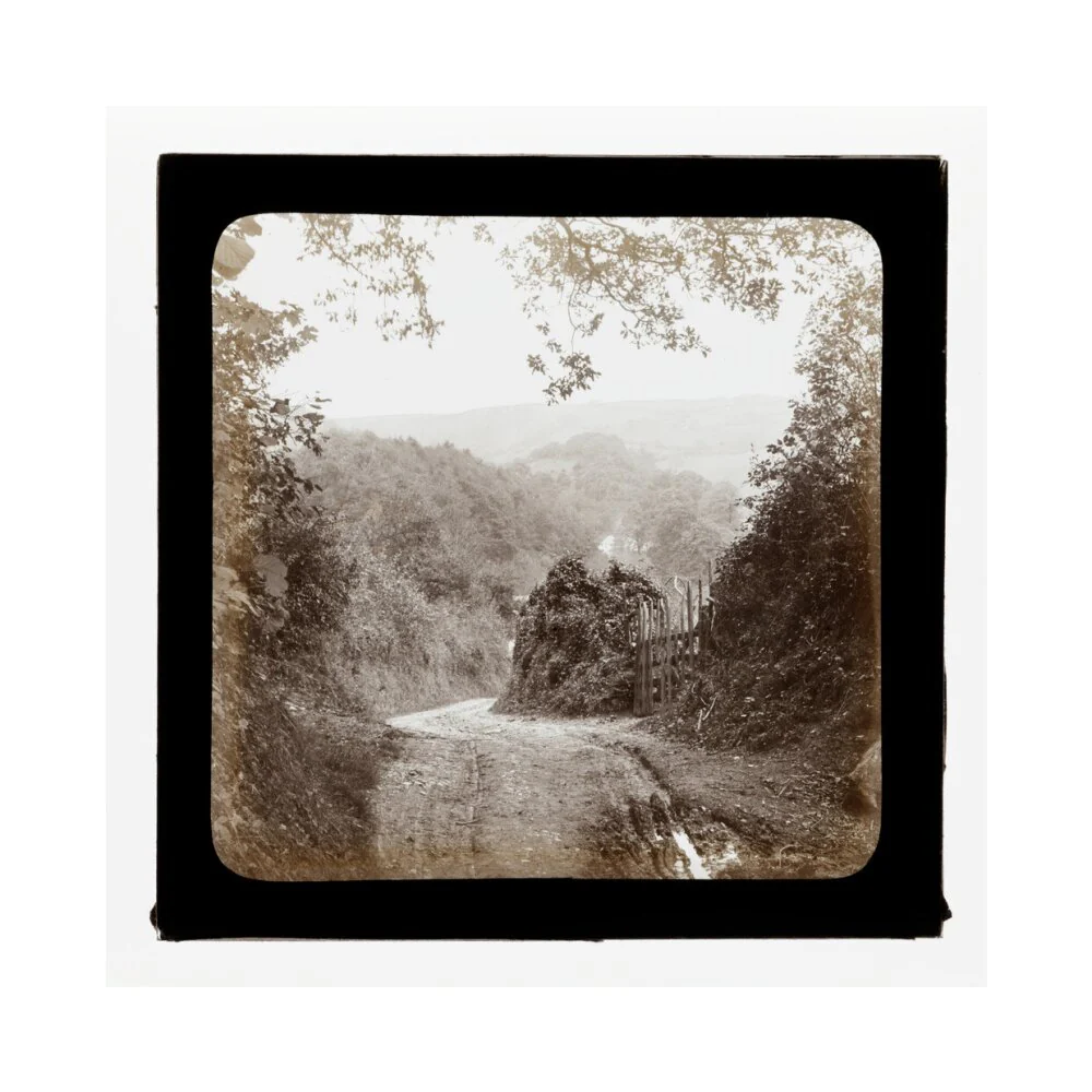 A magic lantern slide entilted 'Chambercombe Wood', by Birt Acres, c. 1893. Black carbon for projection. - Image 61