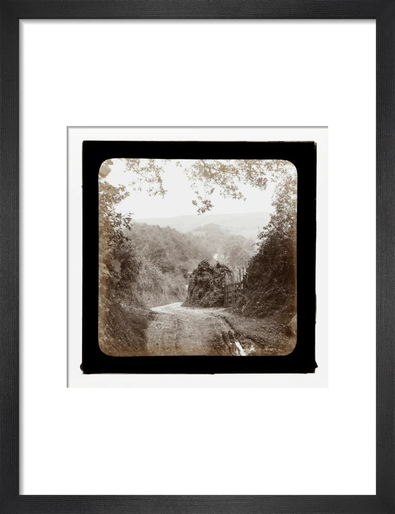 A magic lantern slide entilted 'Chambercombe Wood', by Birt Acres, c. 1893. Black carbon for projection. - Image 8