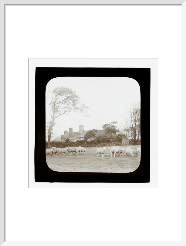 A magic lantern slide entitled 'An Old Homestead' by Birt Acres, c. 1893. - Image 19