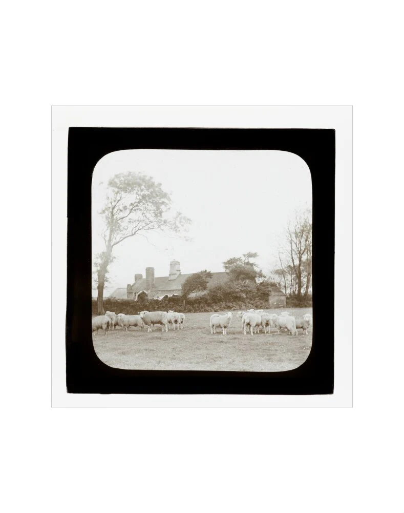 A magic lantern slide entitled 'An Old Homestead' by Birt Acres, c. 1893. - Image 35