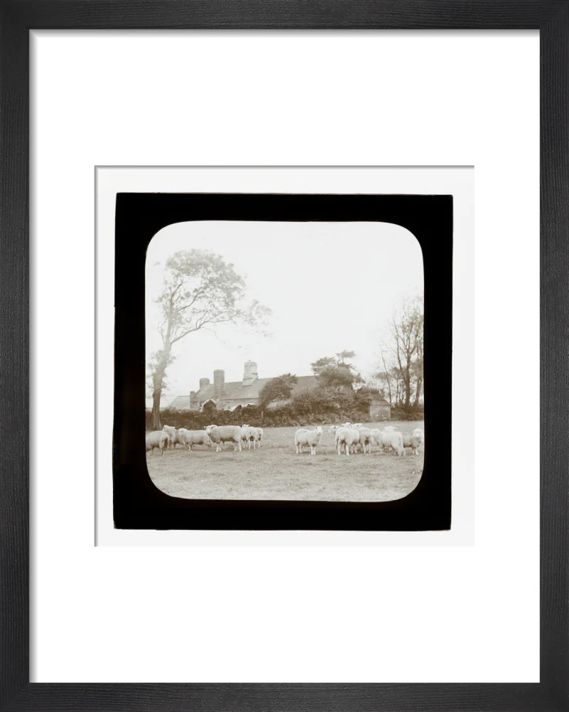 A magic lantern slide entitled 'An Old Homestead' by Birt Acres, c. 1893. - Image 36