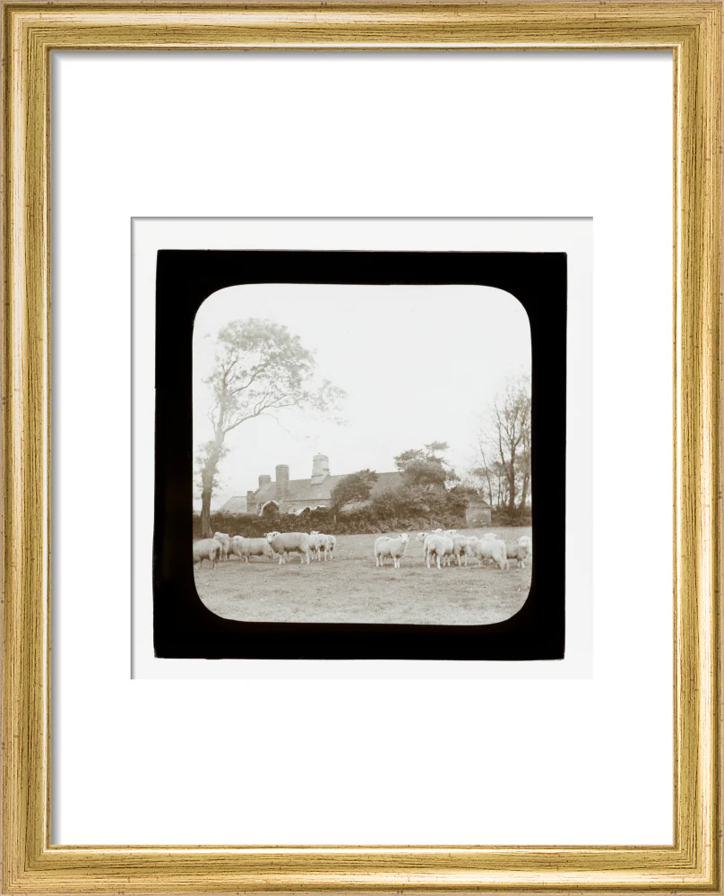 A magic lantern slide entitled 'An Old Homestead' by Birt Acres, c. 1893. - Image 38