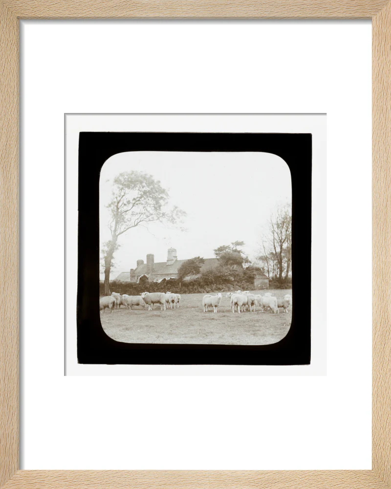 A magic lantern slide entitled 'An Old Homestead' by Birt Acres, c. 1893. - Image 39