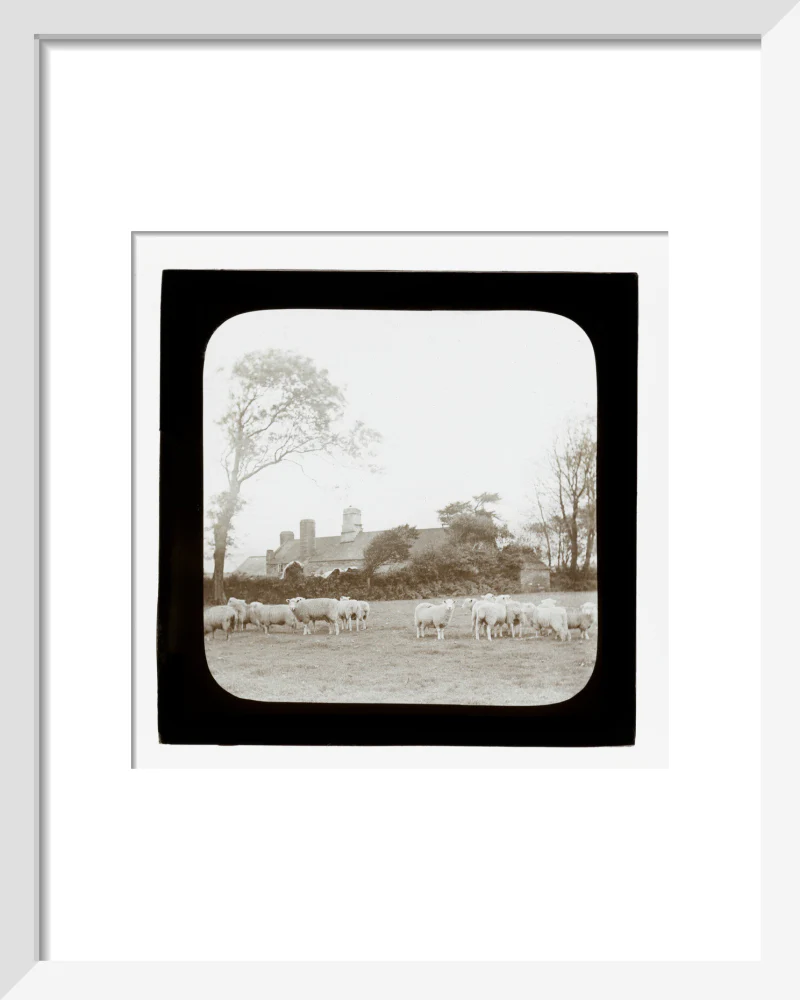 A magic lantern slide entitled 'An Old Homestead' by Birt Acres, c. 1893. - Image 4