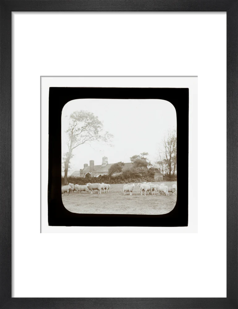 A magic lantern slide entitled 'An Old Homestead' by Birt Acres, c. 1893. - Image 41