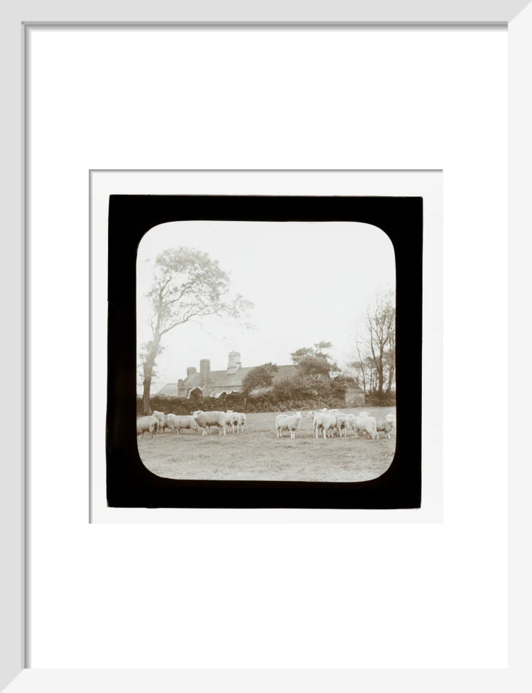 A magic lantern slide entitled 'An Old Homestead' by Birt Acres, c. 1893. - Image 42