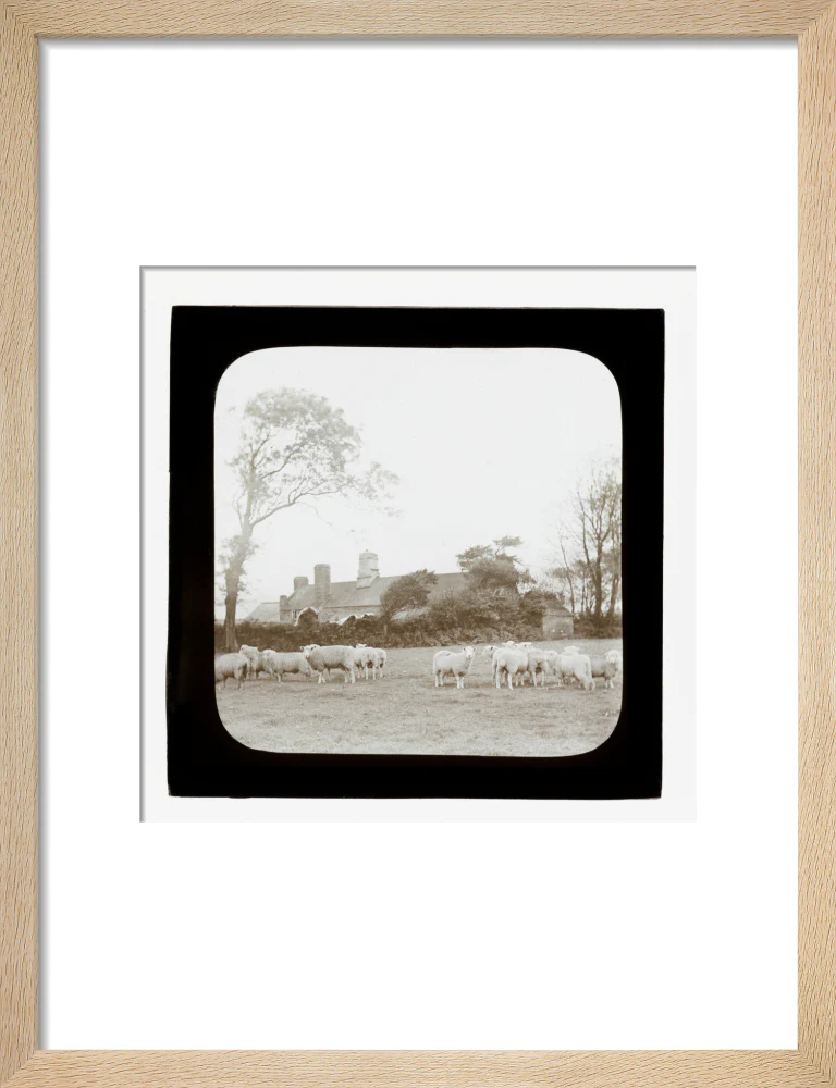 A magic lantern slide entitled 'An Old Homestead' by Birt Acres, c. 1893. - Image 44