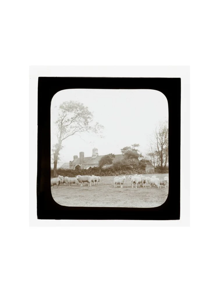 A magic lantern slide entitled 'An Old Homestead' by Birt Acres, c. 1893. - Image 45