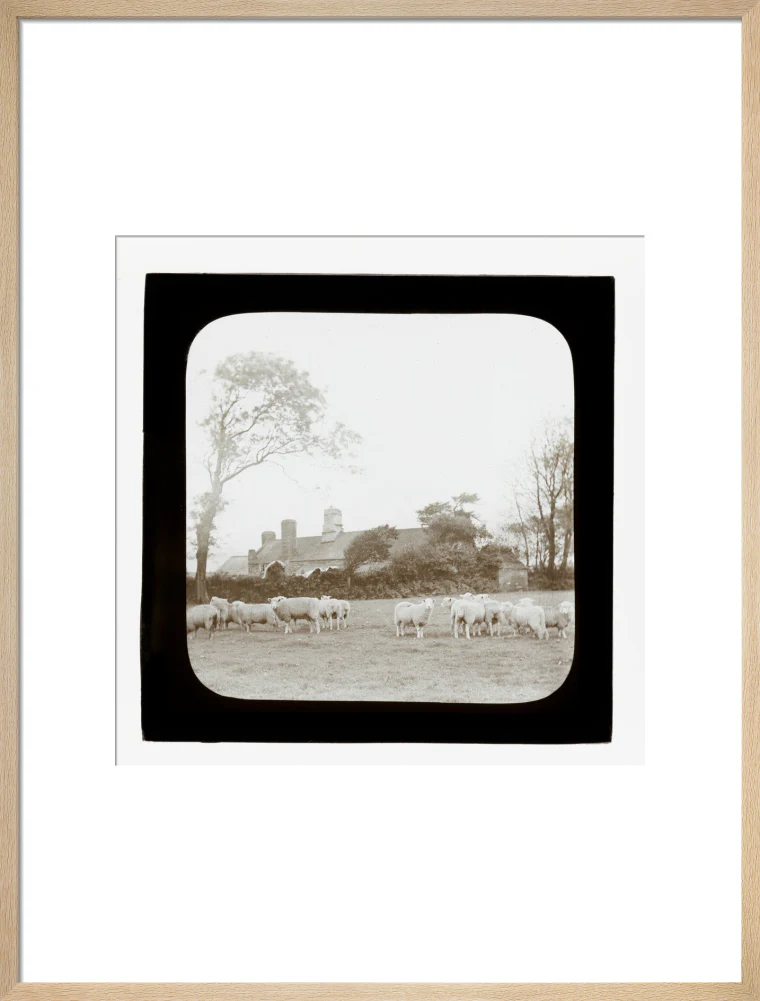 A magic lantern slide entitled 'An Old Homestead' by Birt Acres, c. 1893. - Image 54