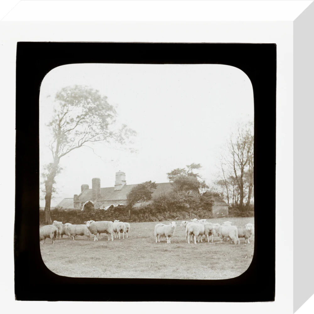 A magic lantern slide entitled 'An Old Homestead' by Birt Acres, c. 1893. - Image 64