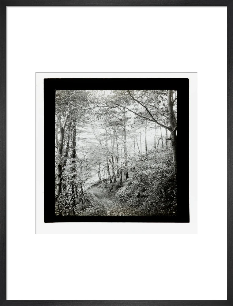 A magic lantern slide of Score Wood, Ilfracombe by Birt Acres, c. 1893. - Image 51