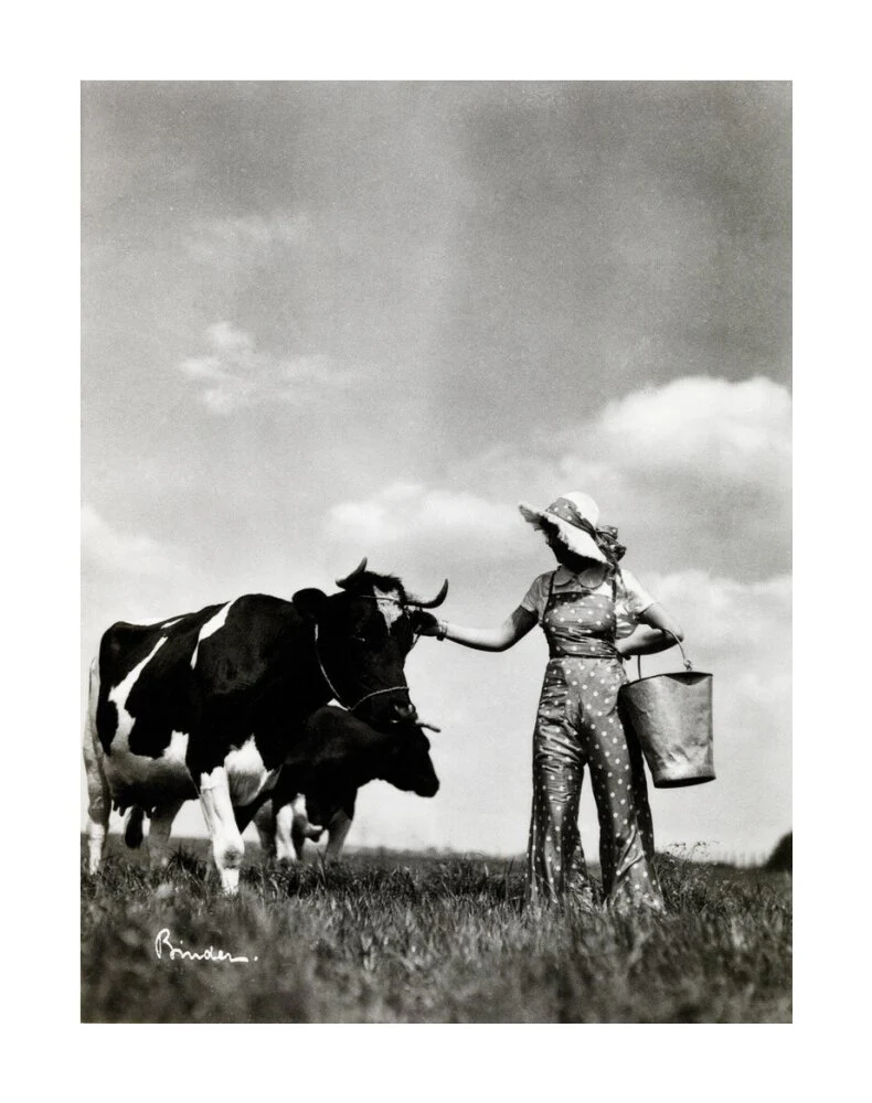 A milkmaid and cows - Image 29