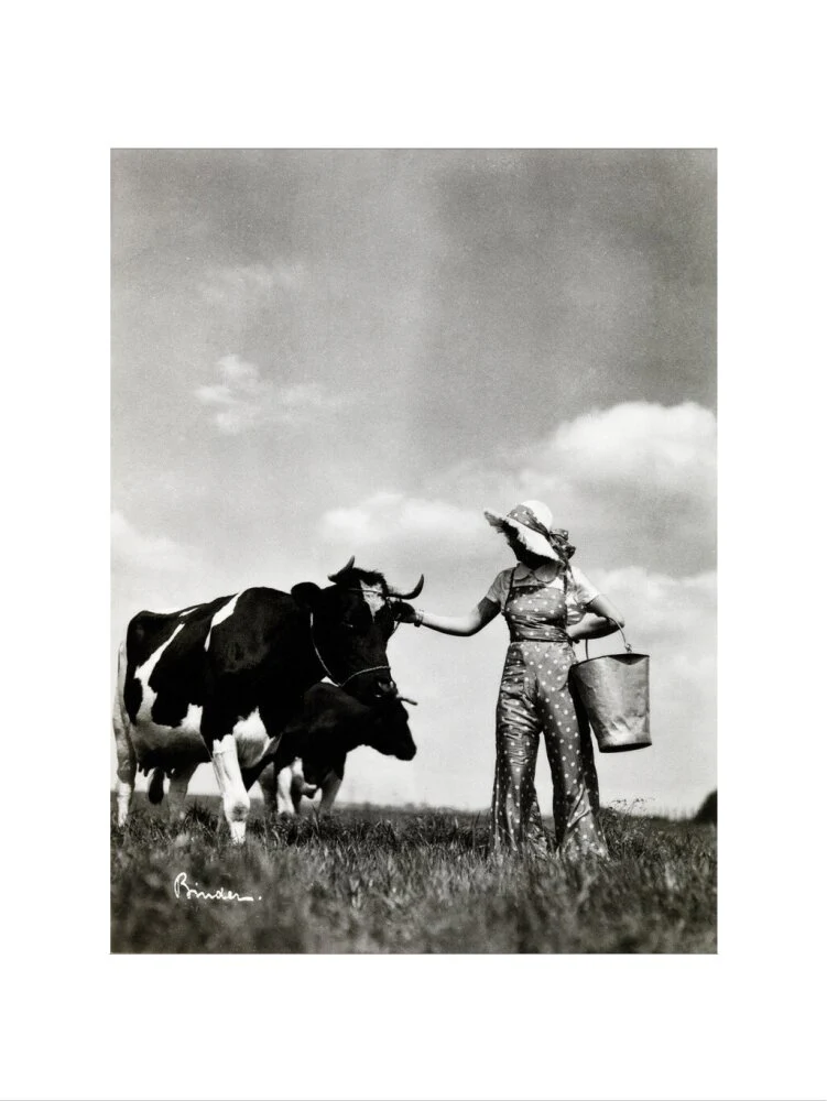 A milkmaid and cows - Image 40