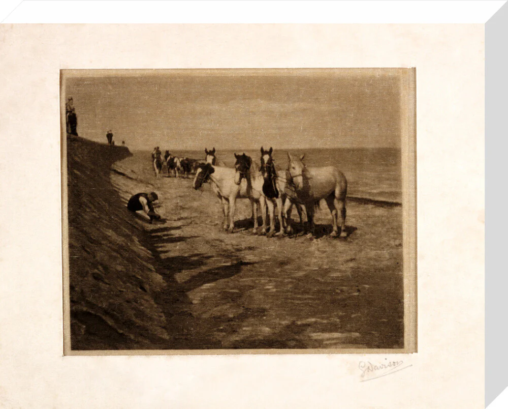 'Ring Horses', 1898. - Image 32