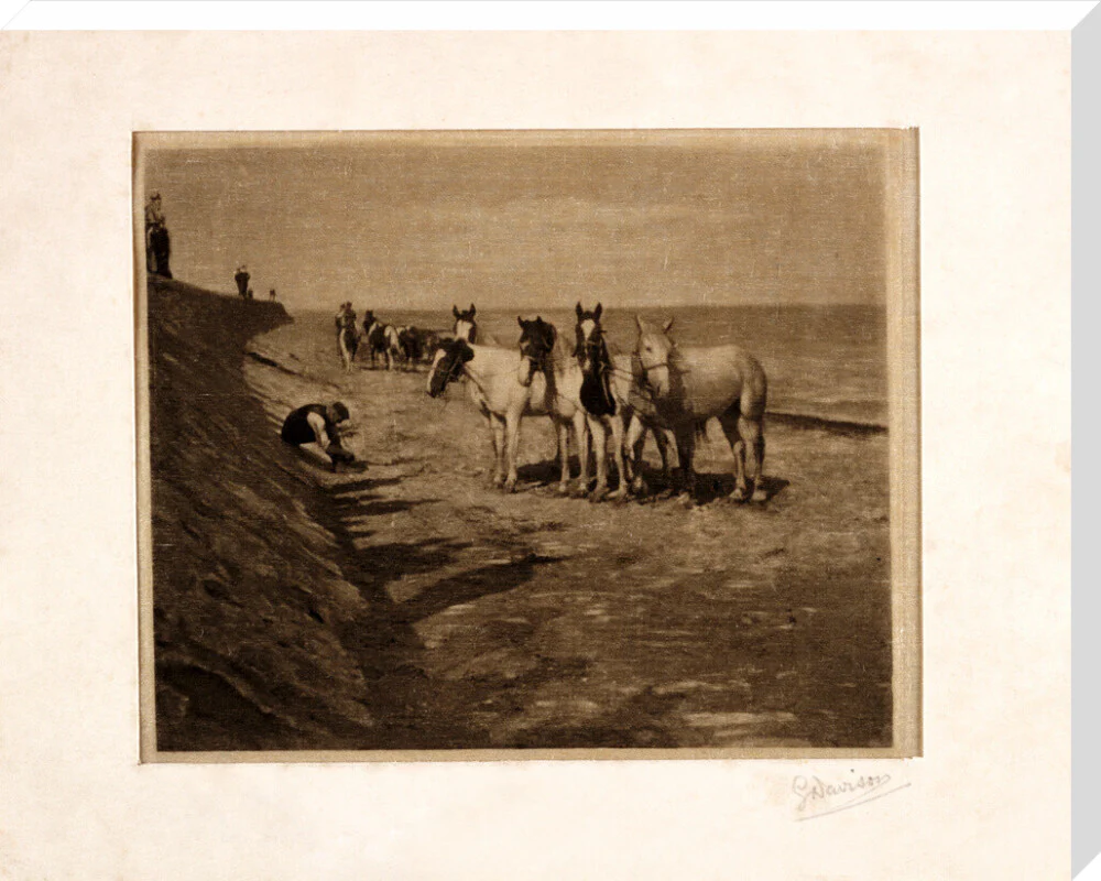 'Ring Horses', 1898. - Image 34
