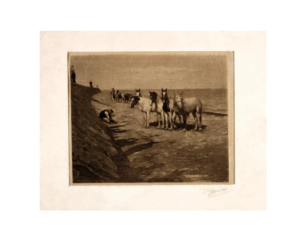 'Ring Horses', 1898. - Image 35
