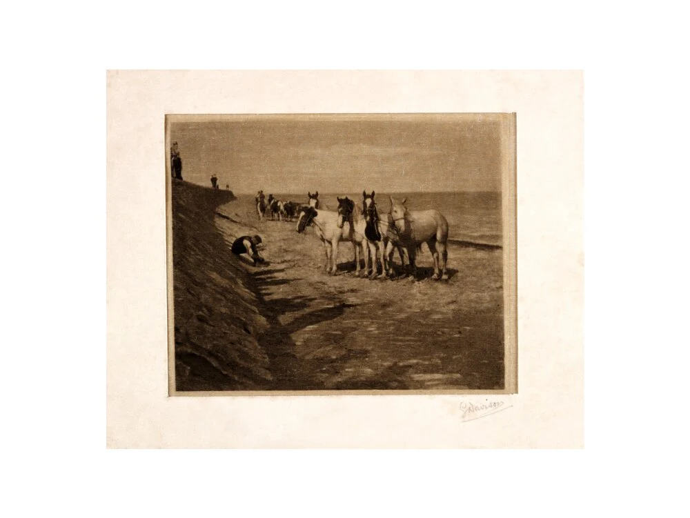 'Ring Horses', 1898. - Image 45