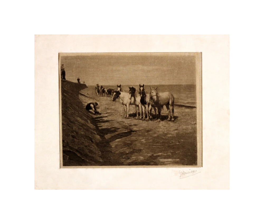 'Ring Horses', 1898. - Image 60