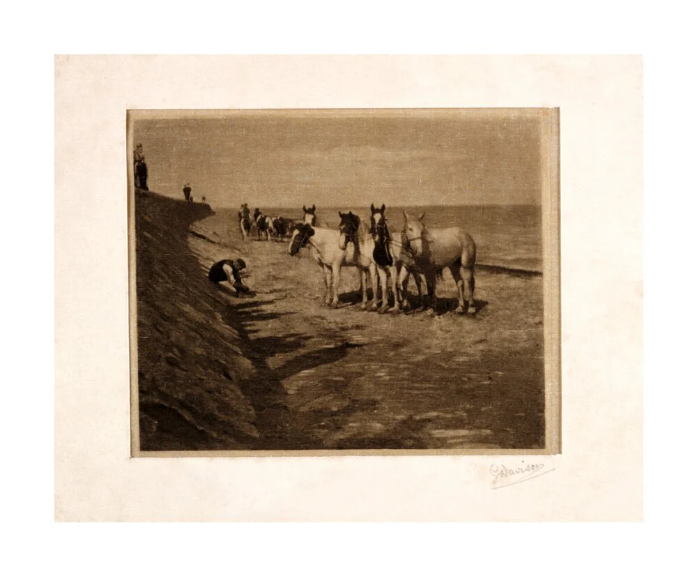 'Ring Horses', 1898. - Image 62