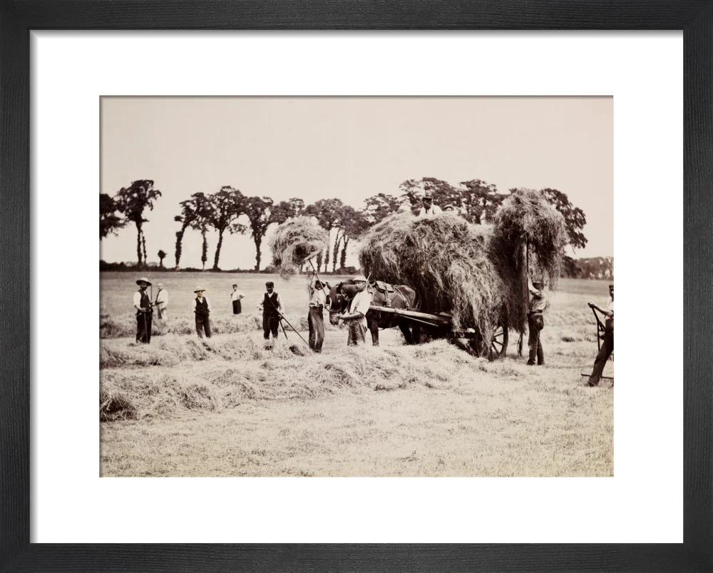 Hay gathering, c 1890. - Image 3