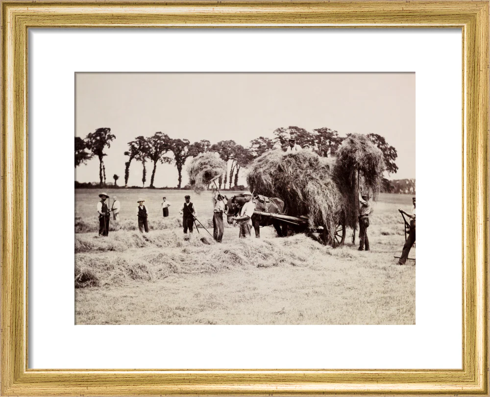 Hay gathering, c 1890. - Image 38