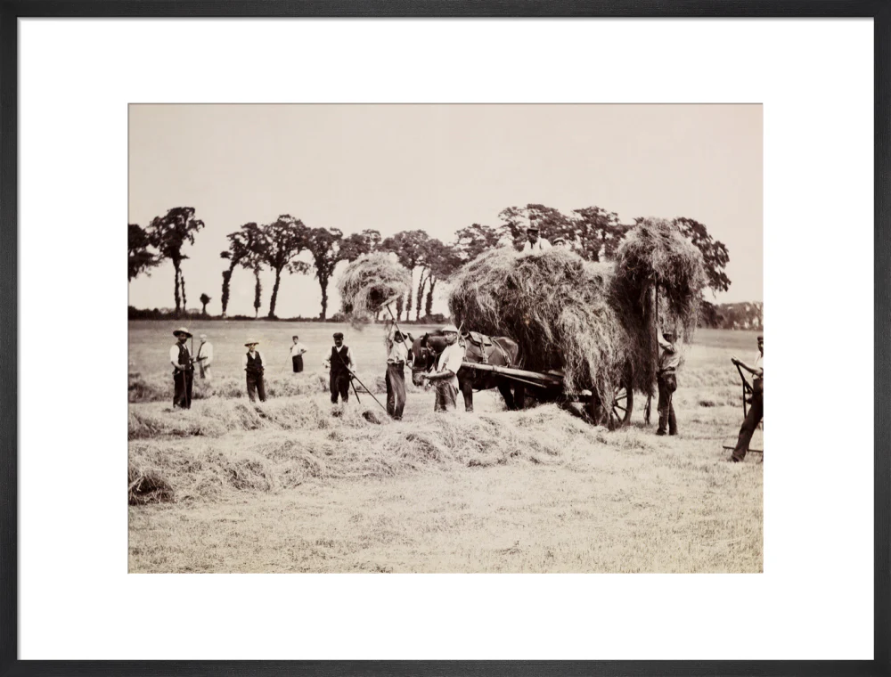 Hay gathering, c 1890. - Image 51