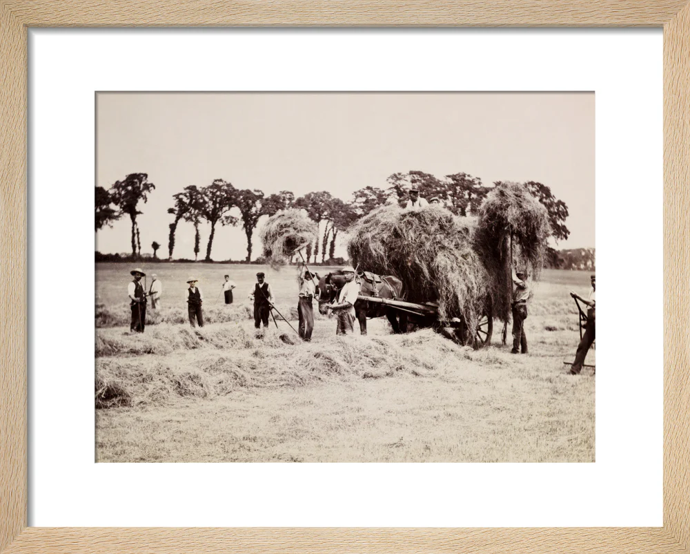 Hay gathering, c 1890. - Image 6