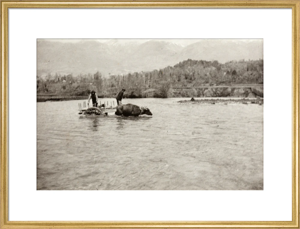 Looking Downstream - Image 20