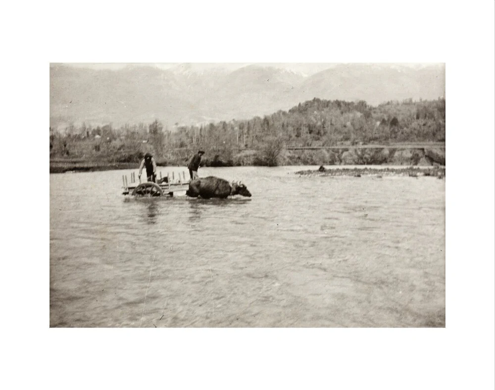 Looking Downstream - Image 35