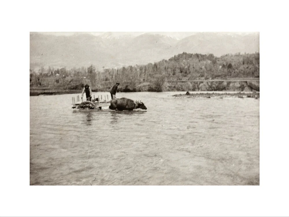Looking Downstream - Image 50