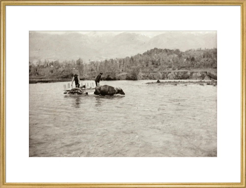Looking Downstream - Image 58