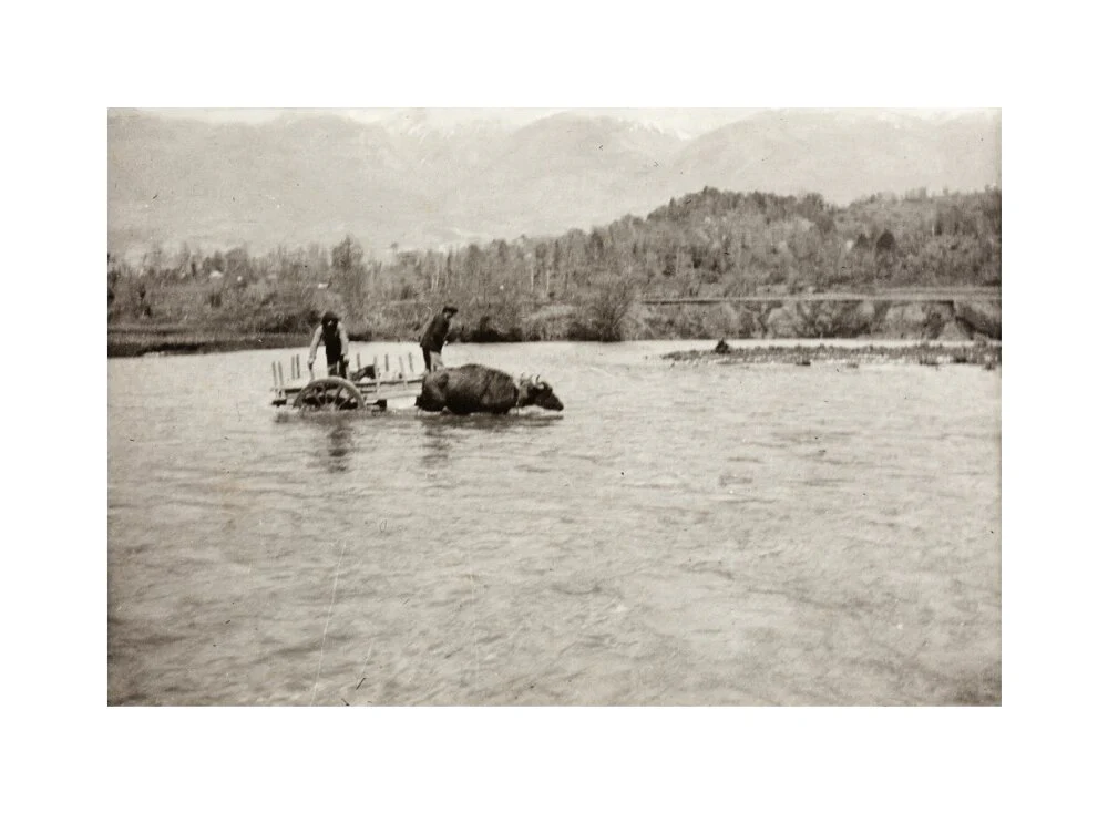 Looking Downstream - Image 61