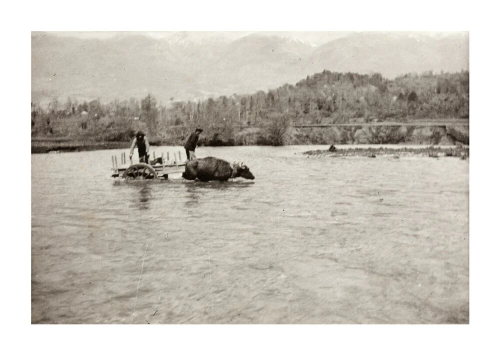 Looking Downstream - Image 63