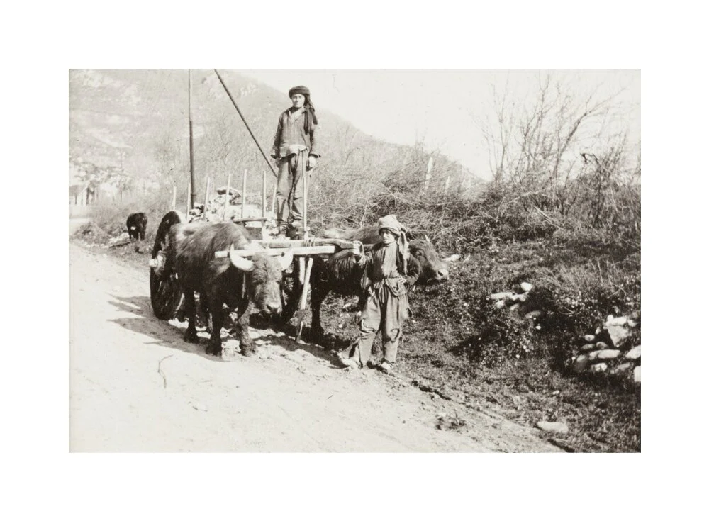 A Bullock Wagon - Image 28